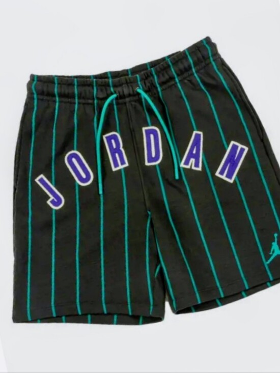 Nike Other - Jordan Shorts Mens XL Brooklyn Fleece Charlotte Hornets Nike Jumpman